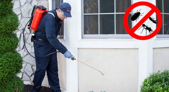 Küçükçekmece Bit İlaçlama böcek ilaçlama ve haşere kontrolü — ilaclama-tr.com
